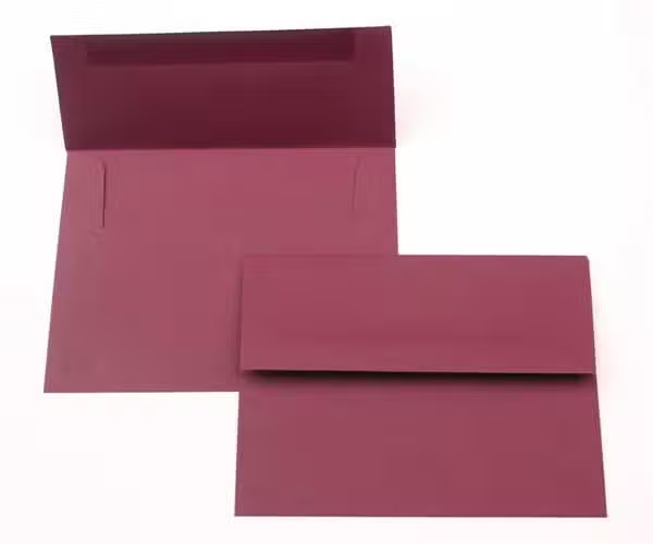 ClearBags Basis Envelopes