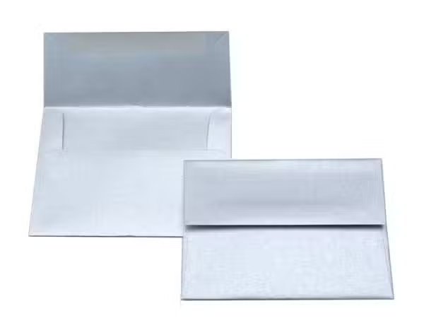 ClearBags Stardream Envelope