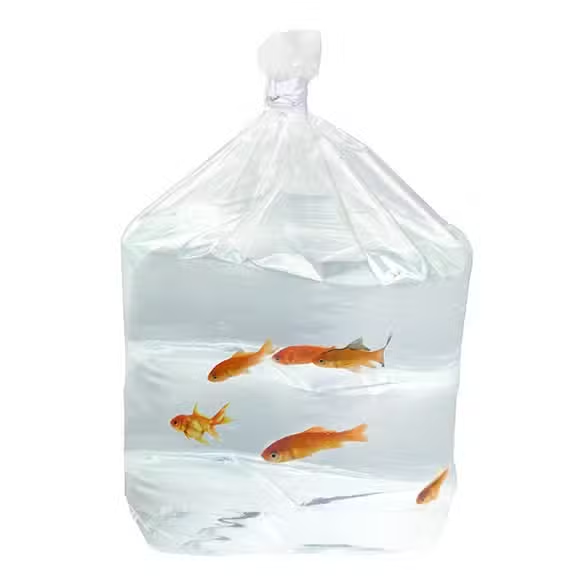Fish bags are durable and clear.